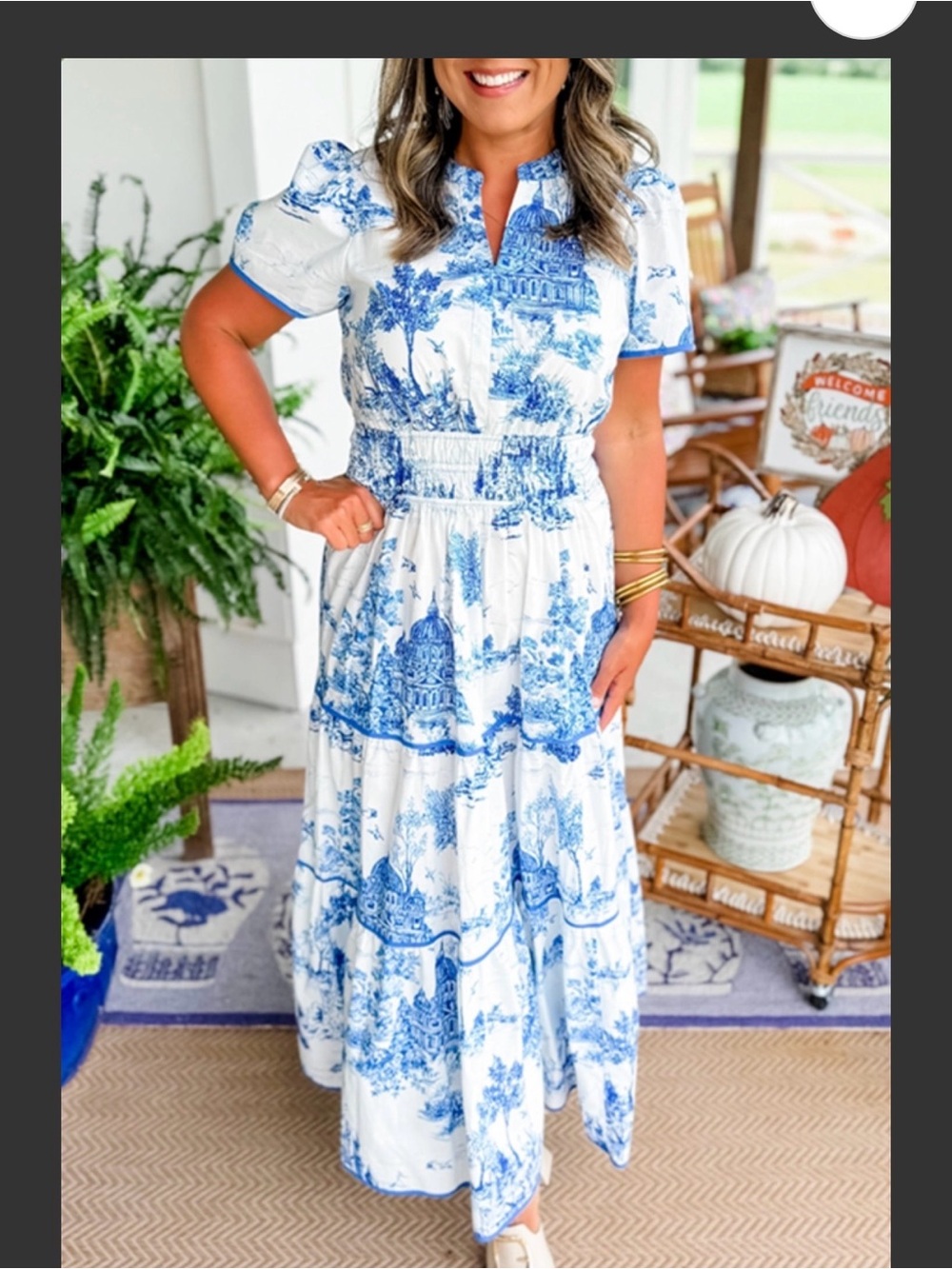 Rosa Clothing Landscape Porcelain Toile Print Flare Maxi Dress Medium New